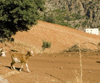 Atlas Mountains overland hiking  tours