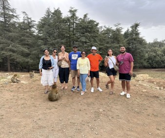 Azrou cedar forest